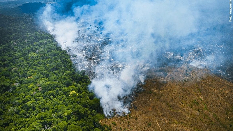 sustentabilidade, produtos reciclados, escolha consciente, impacto ambiental (2)