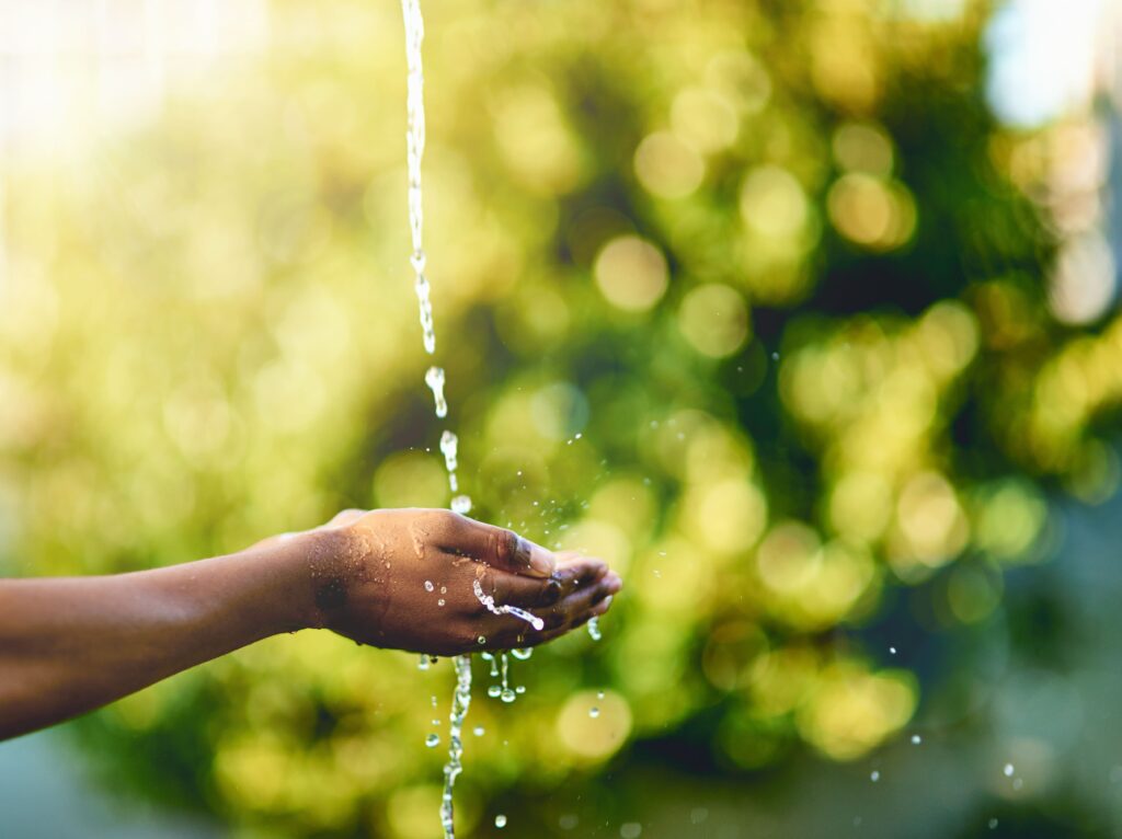 Comemore o Dia Mundial do Meio Ambiente em 5 de junho! Descubra como pequenas atitudes podem fazer uma grande diferença na preservação dos recursos naturais e na proteção do nosso planeta.